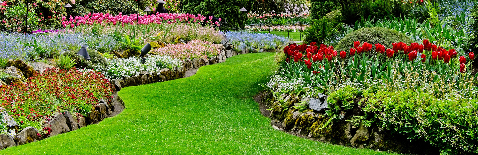 Showcase of Outdoor Transformations